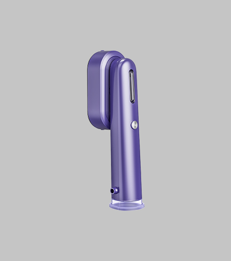Portable Handheld Garment Steamer T31A